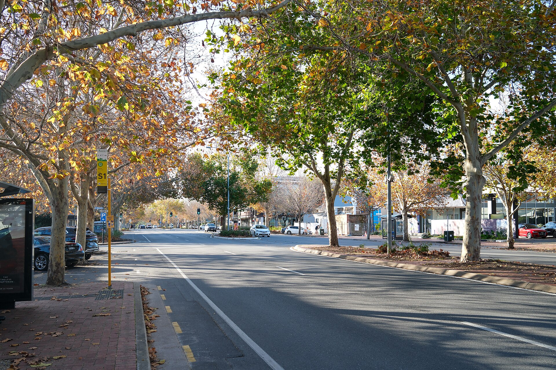 Hutt Street in Adelaide, June 2026
