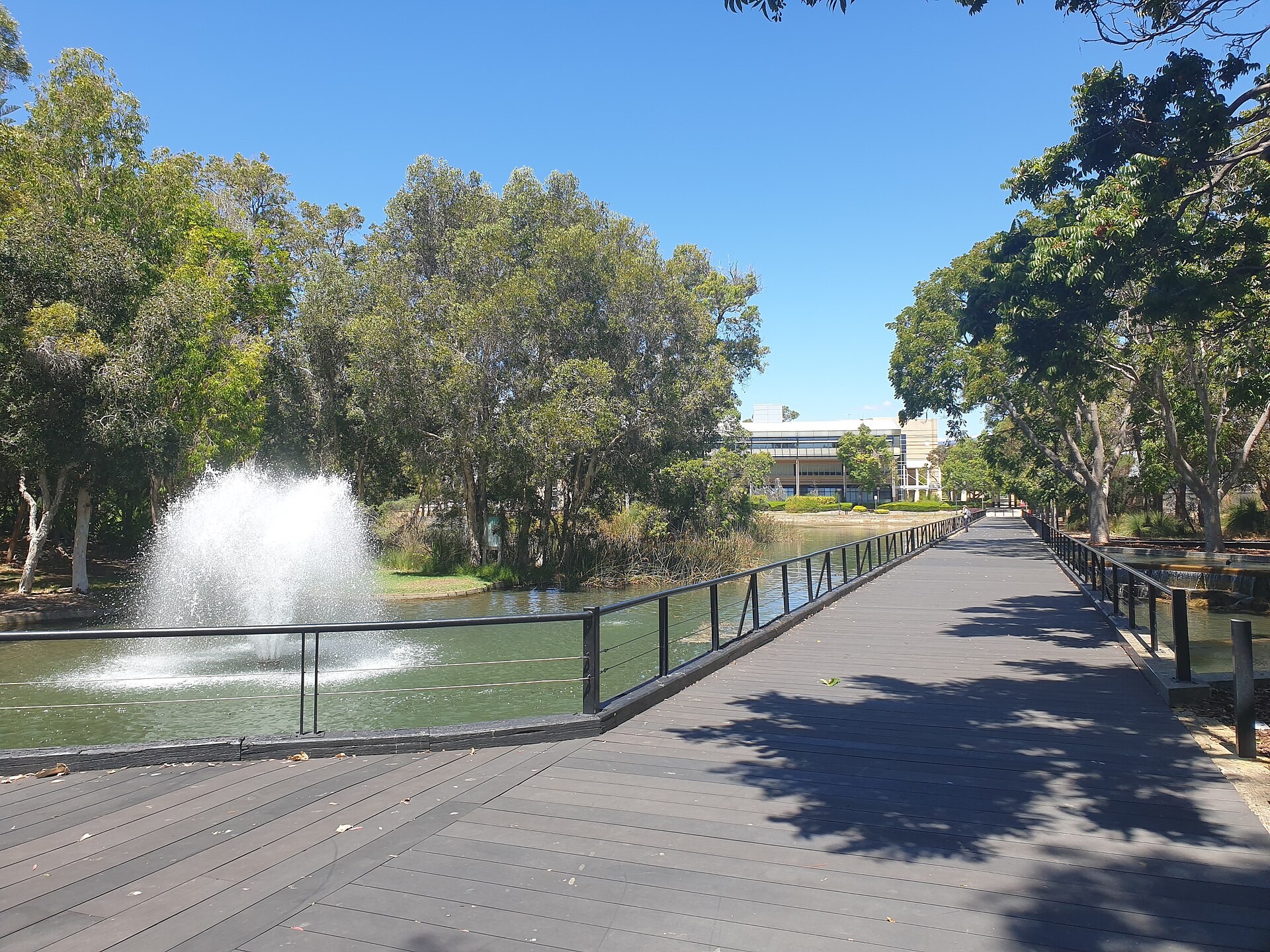 The walkway and water feature through Central Park in Joondalup, Western Australia, in daylight