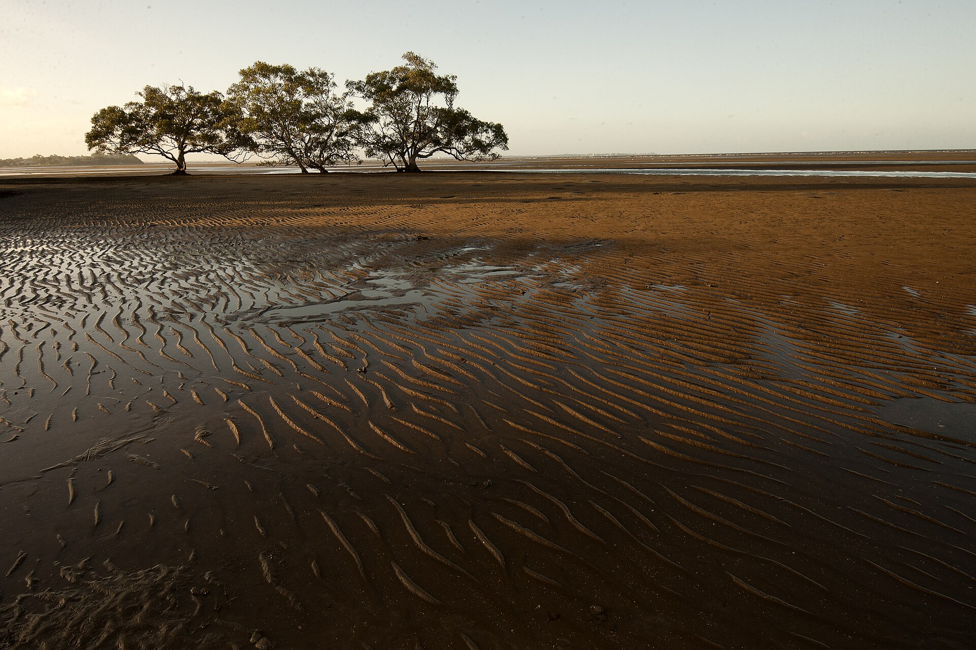 Boondall Wetlands, Brisbane, photographed in 2012