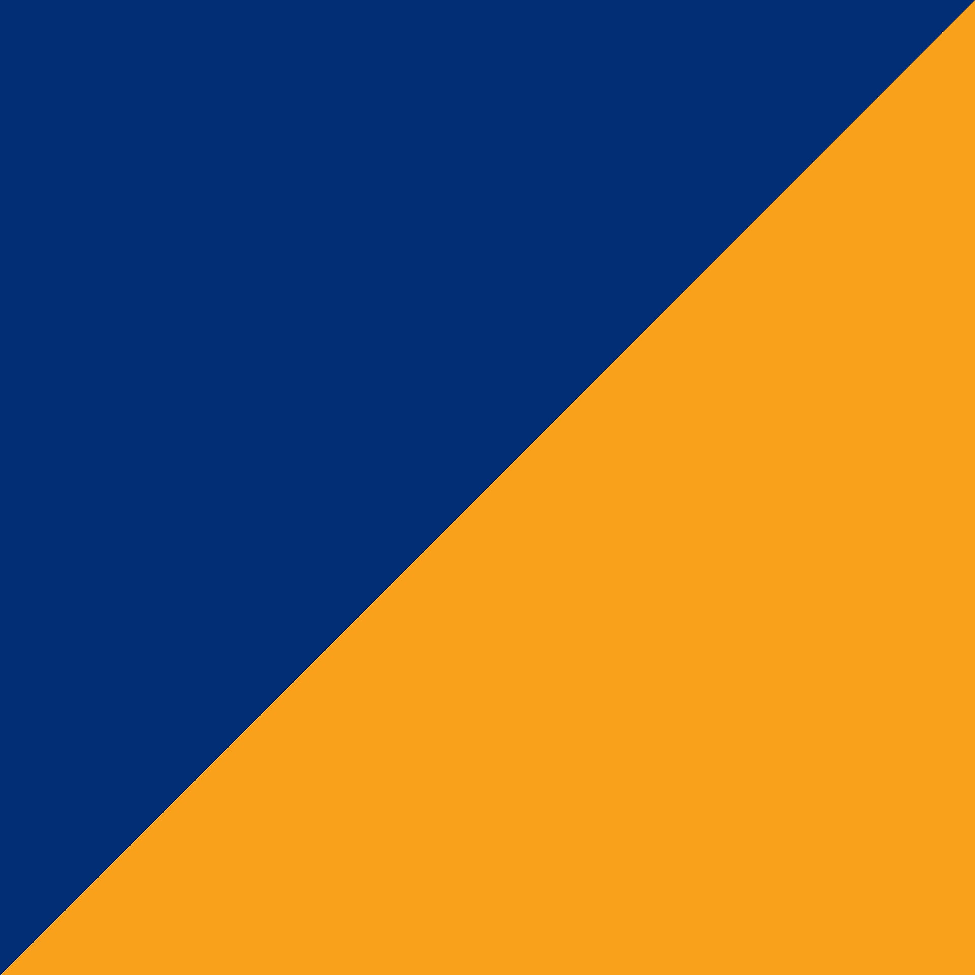 Brisbane Bullets team colours on display