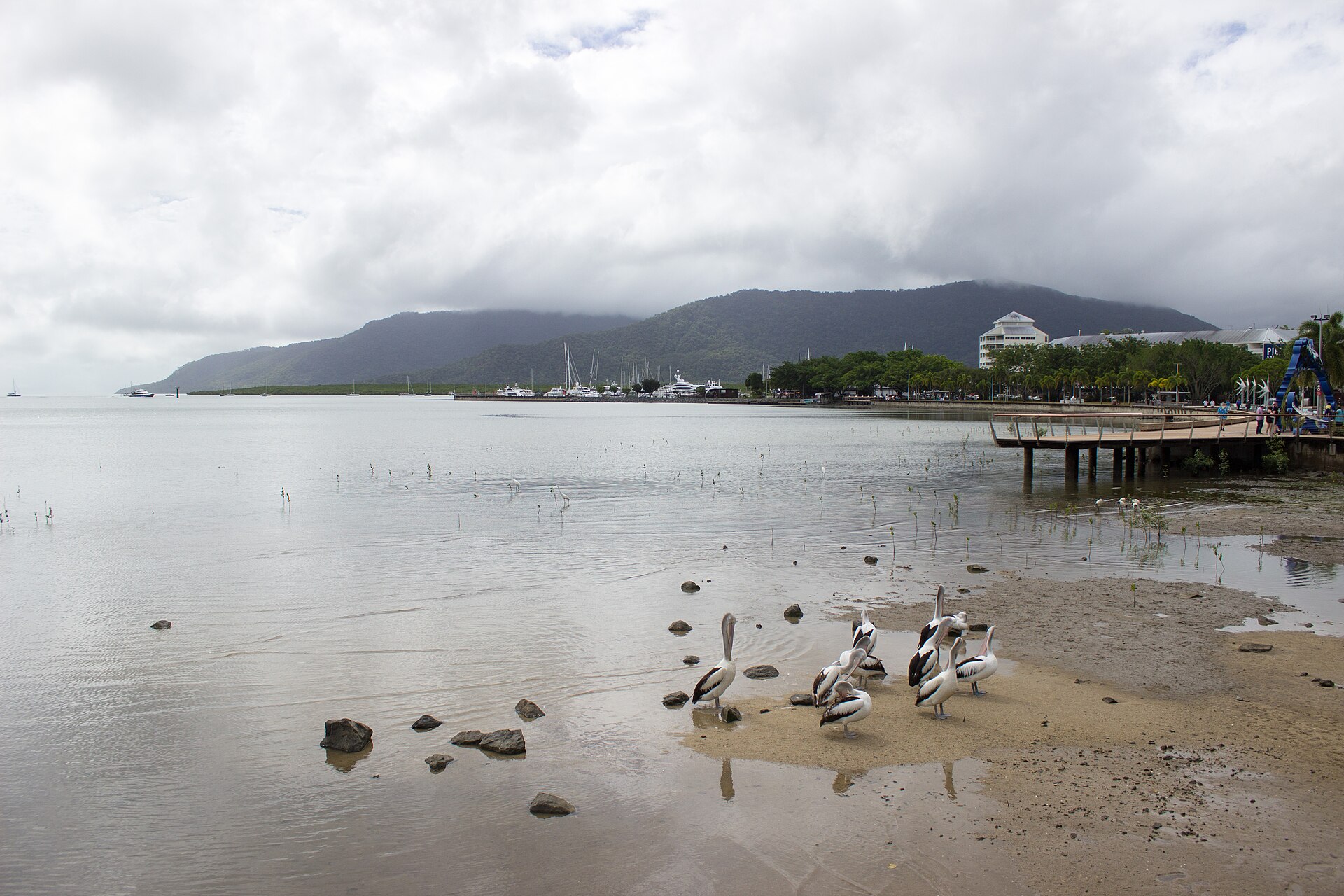 The Cairns Esplanade looking towards Grey Peaks National Park