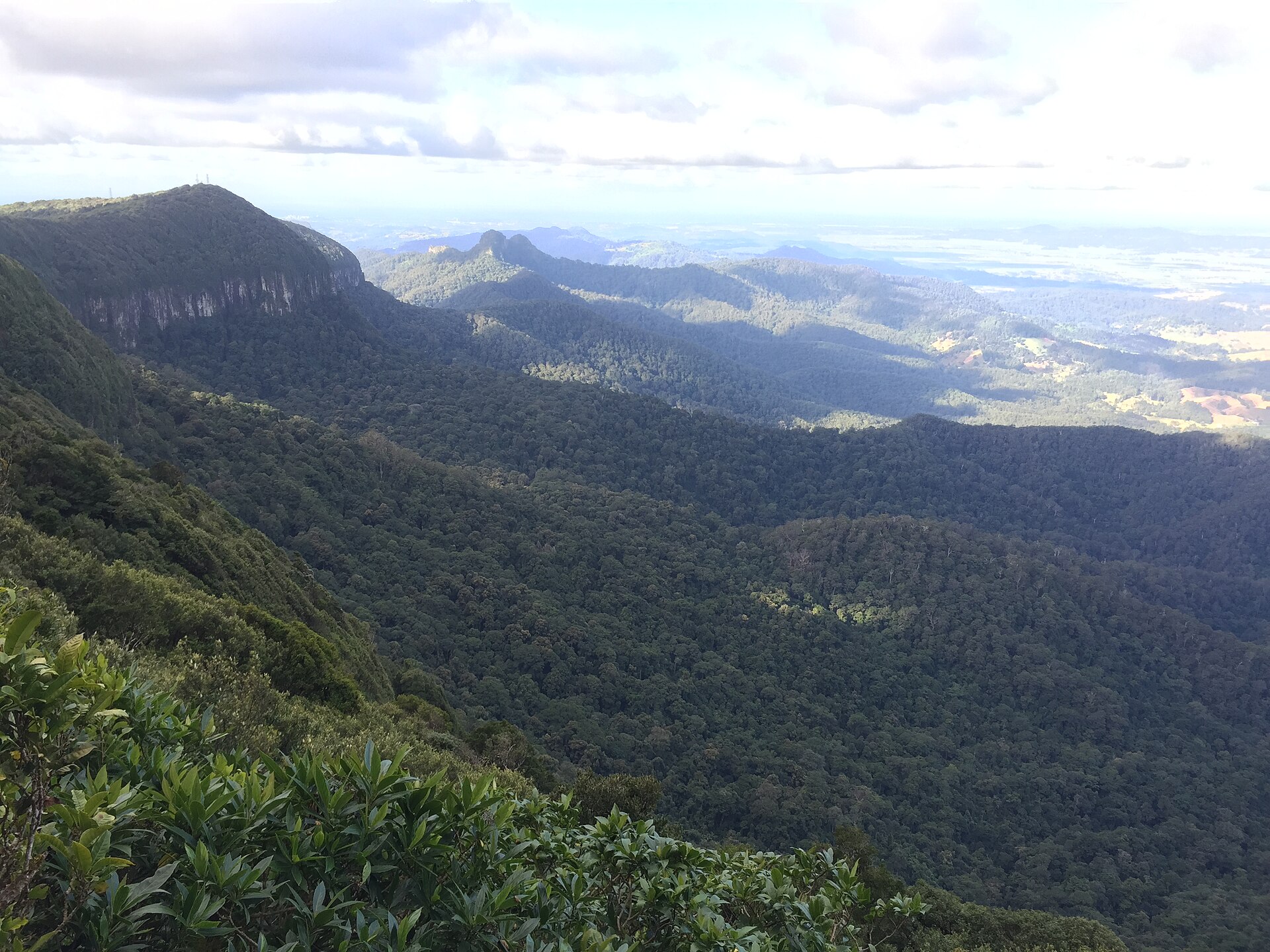 Best of All Lookout in Springbrook National Park, photographed in 2015, shown for orientation