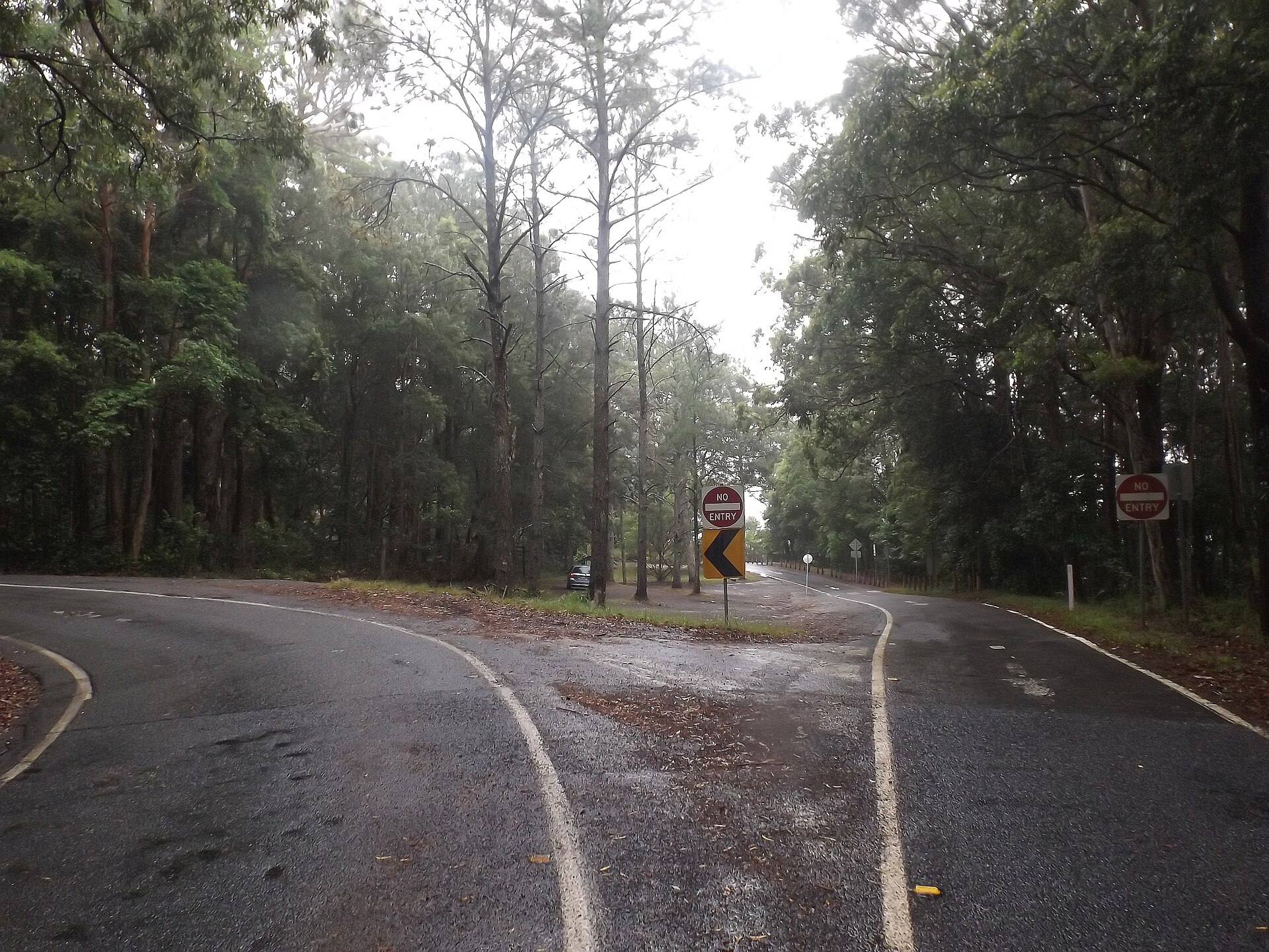 The divided section of Springbrook Road, photographed in 2016, shown for orientation