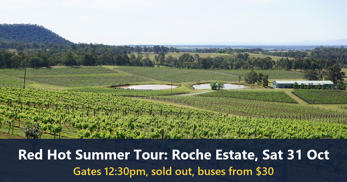 Vineyards in the Hunter Valley, New South Wales