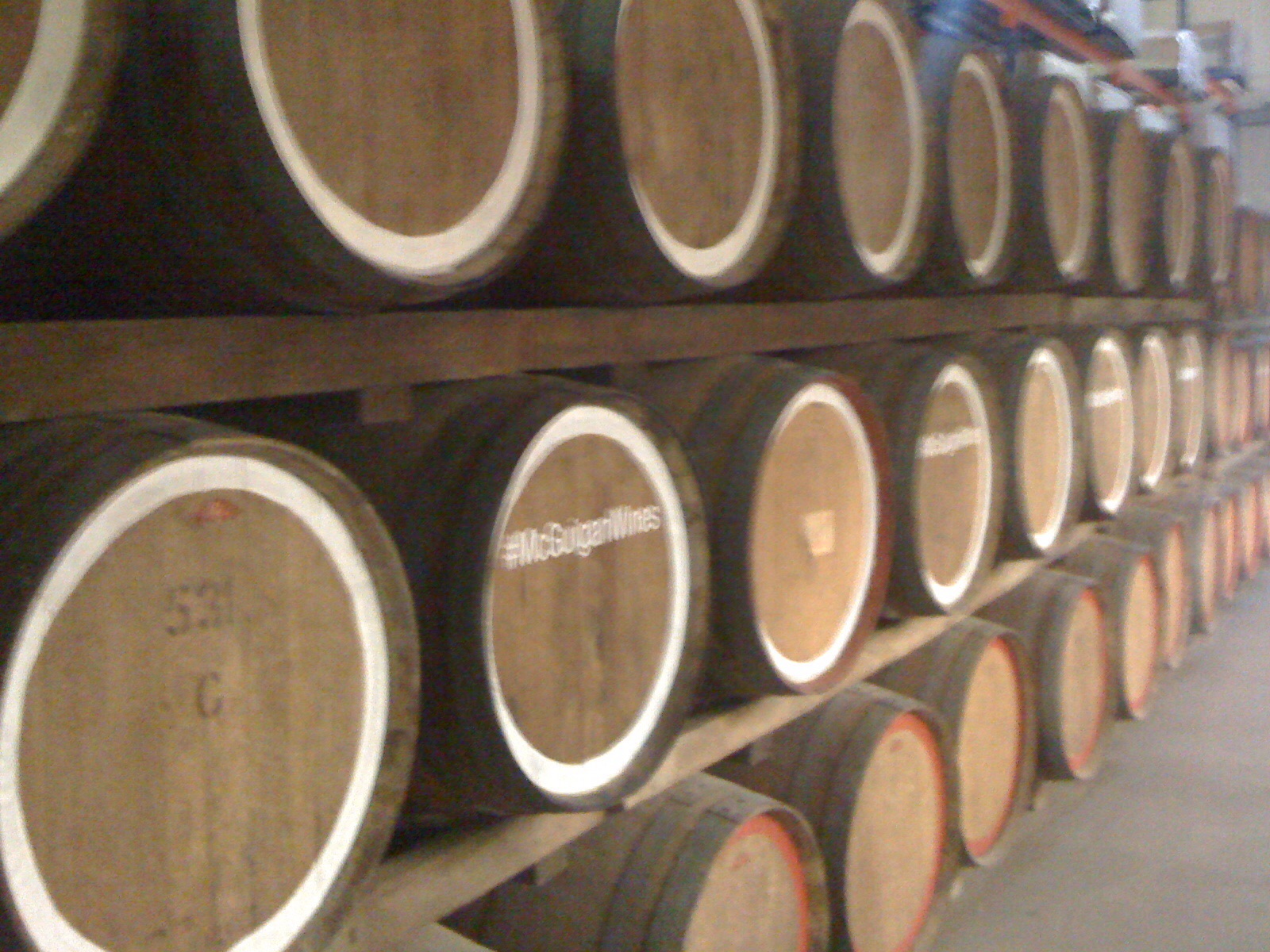 Wine barrels at McGuigan winery, Pokolbin, New South Wales