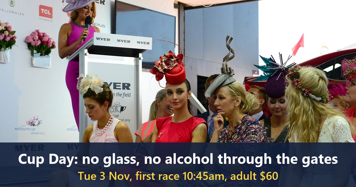 Fashions on the Field at the 2013 Melbourne Cup Carnival