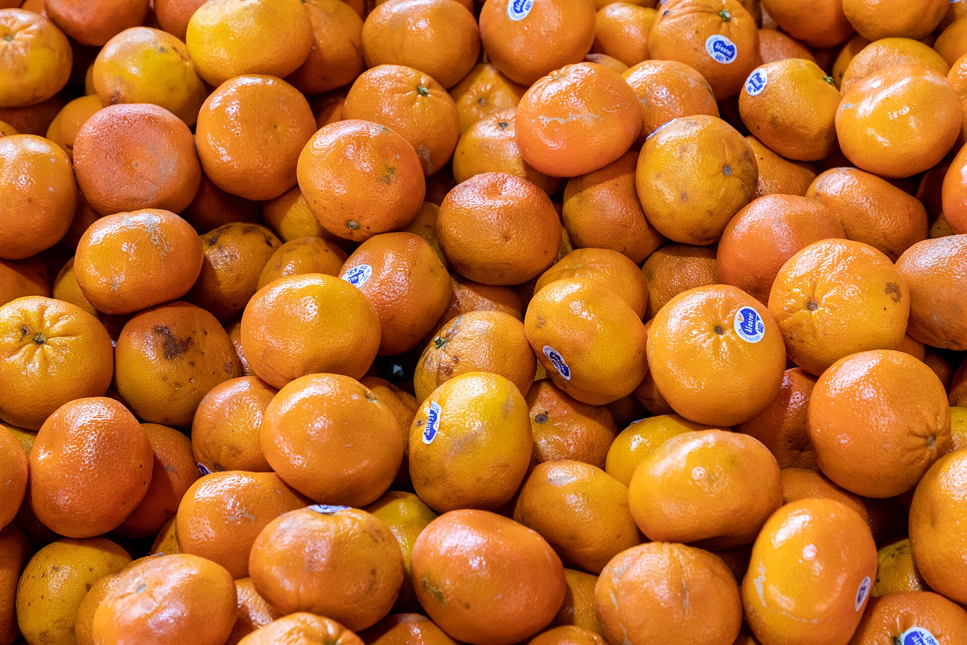 Mandarins at Queen Victoria Market in 2019