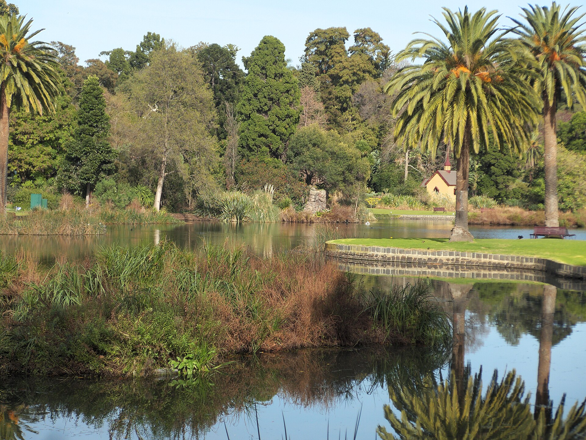 The lake in the Royal Botanic Gardens Melbourne