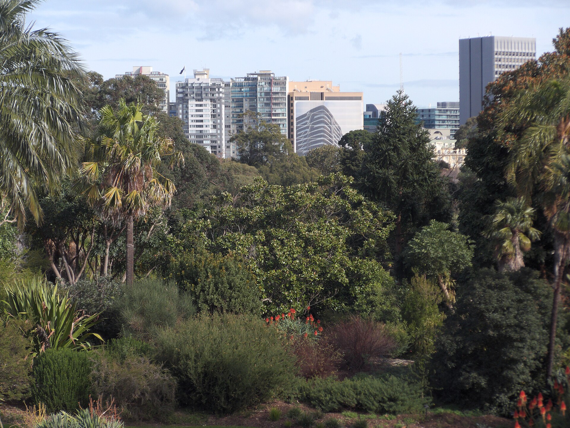 View of the Royal Botanic Gardens Melbourne towards St Kilda Road