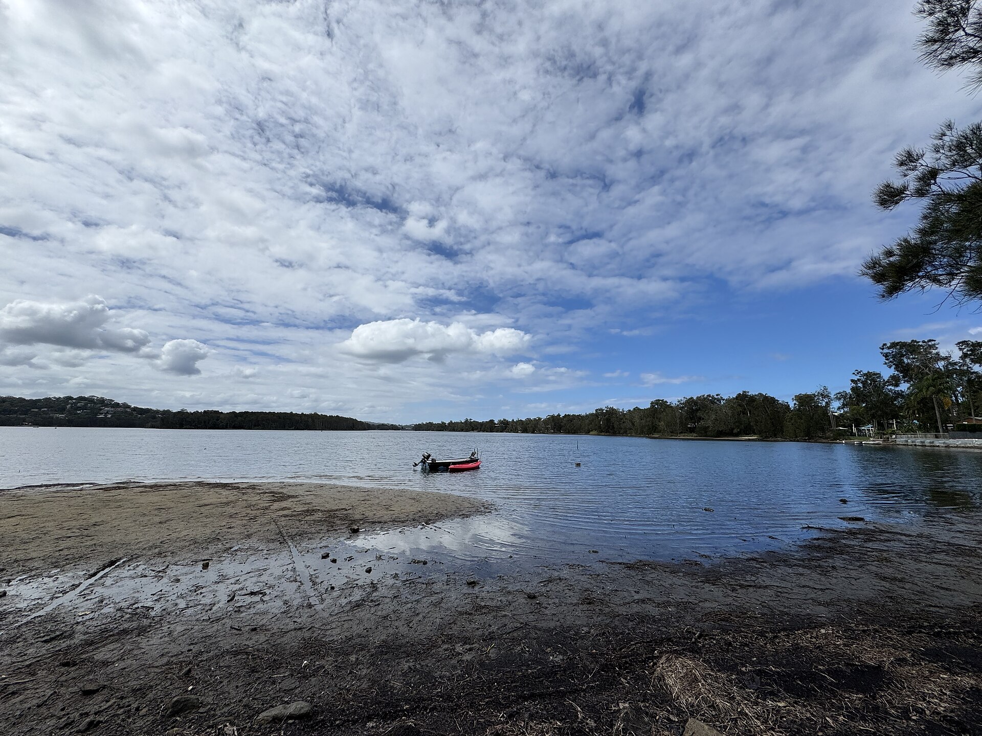 Narrabeen Lagoon in February 2026