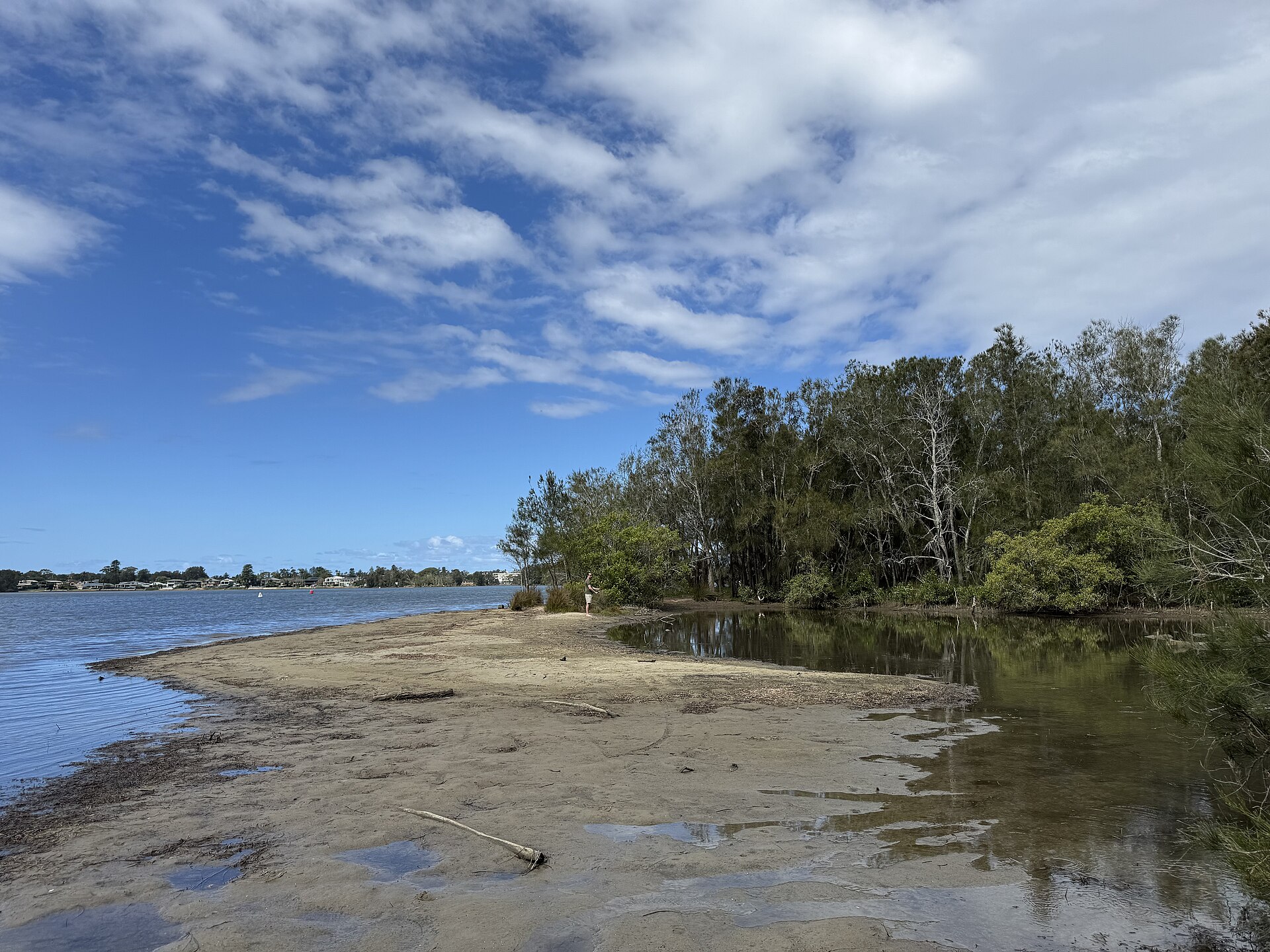 Narrabeen Lagoon in February 2026, second view