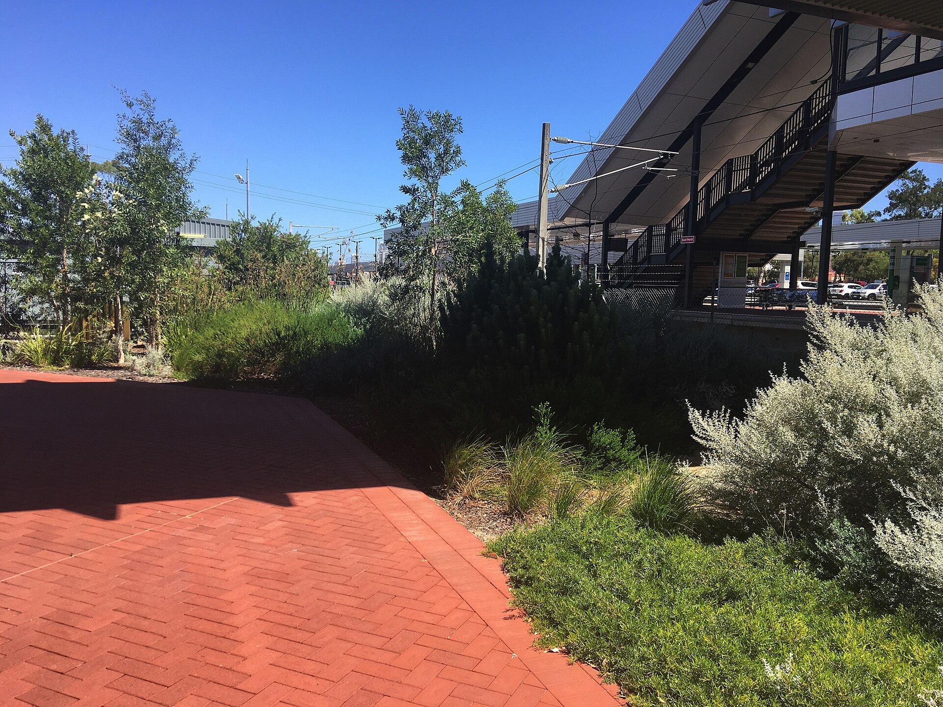 East Perth railway station garden, February 2021