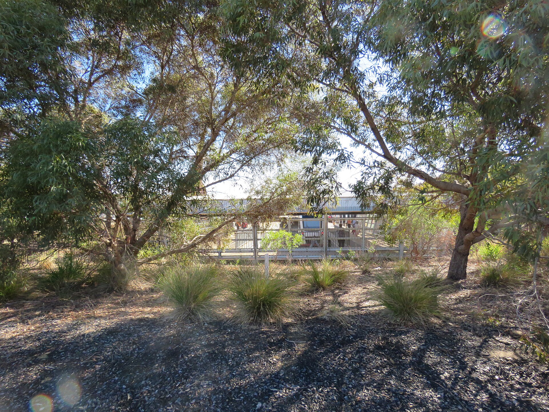 Mandurah railway station, March 2022