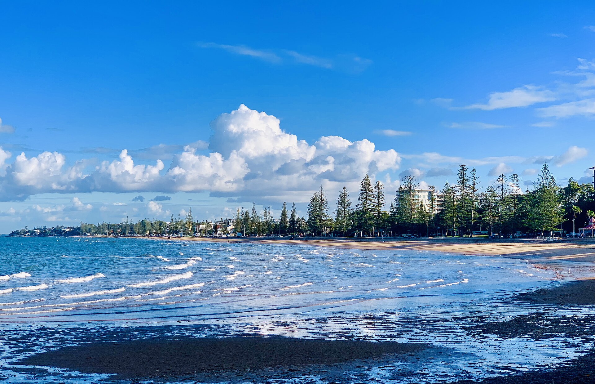 Redcliffe beach and foreshore with Norfolk pines under a blue sky