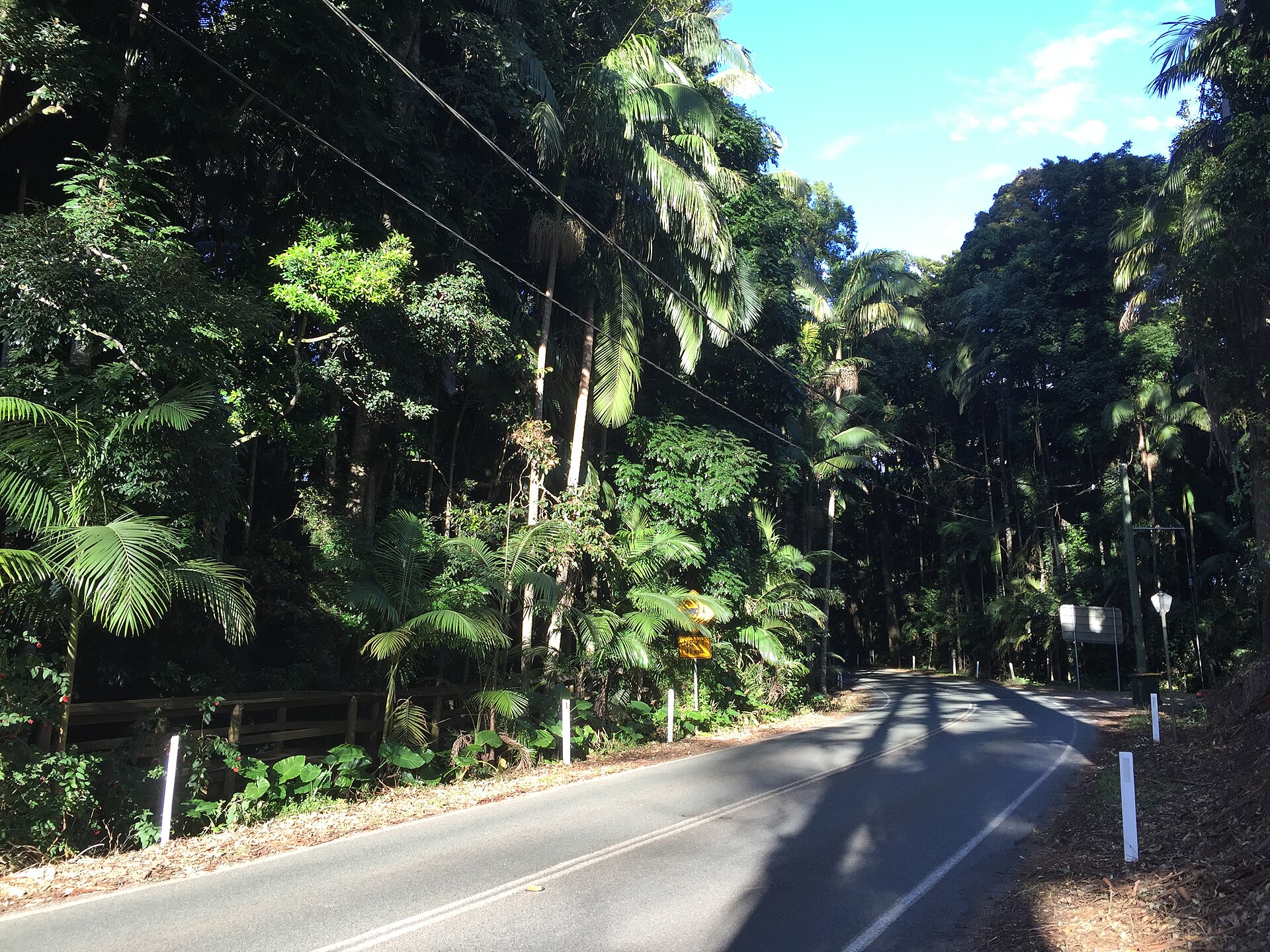 A road on Tamborine Mountain, photographed in 2016, shown for orientation