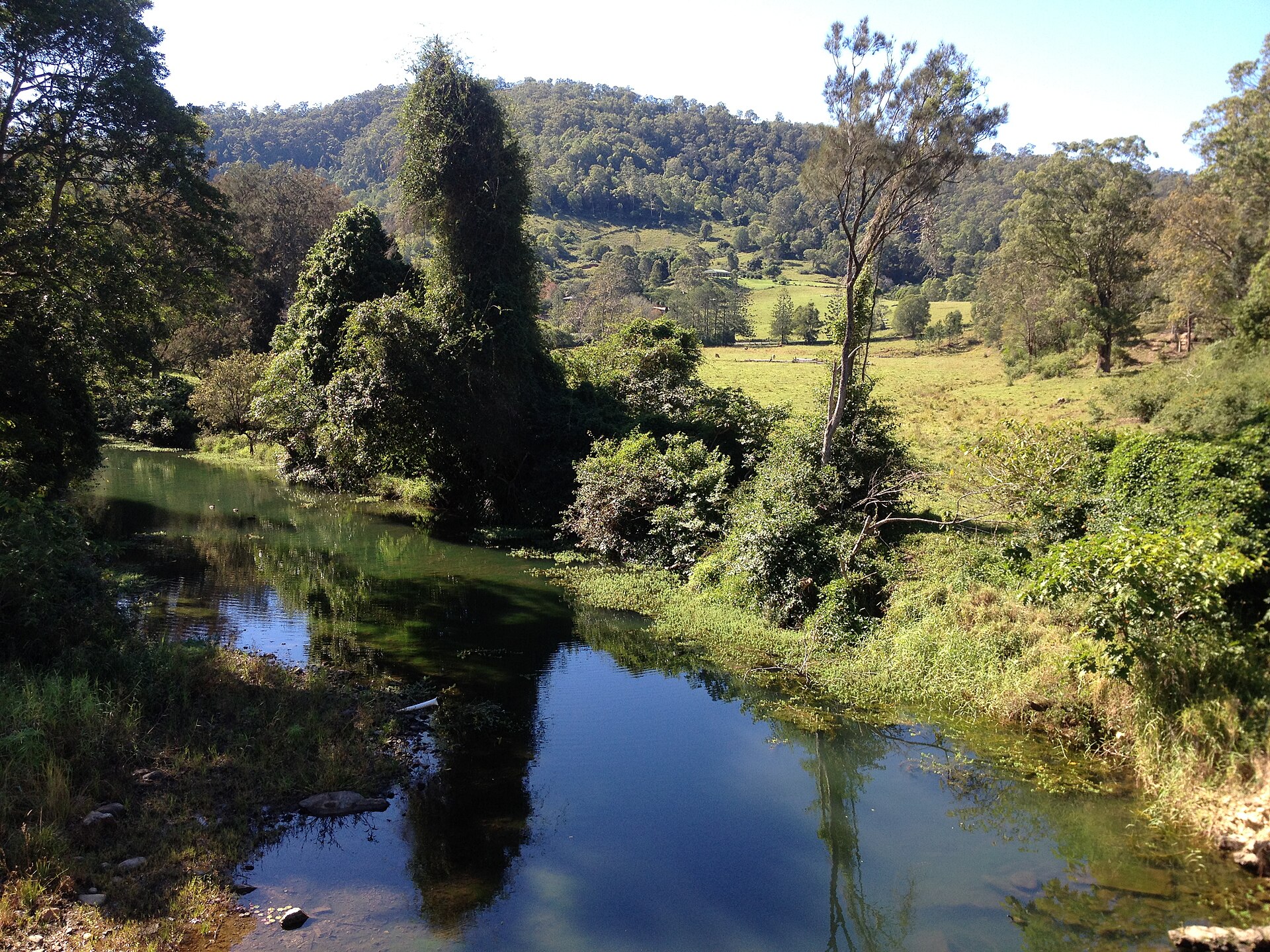 Wongawallan Creek, photographed in 2014, shown for orientation