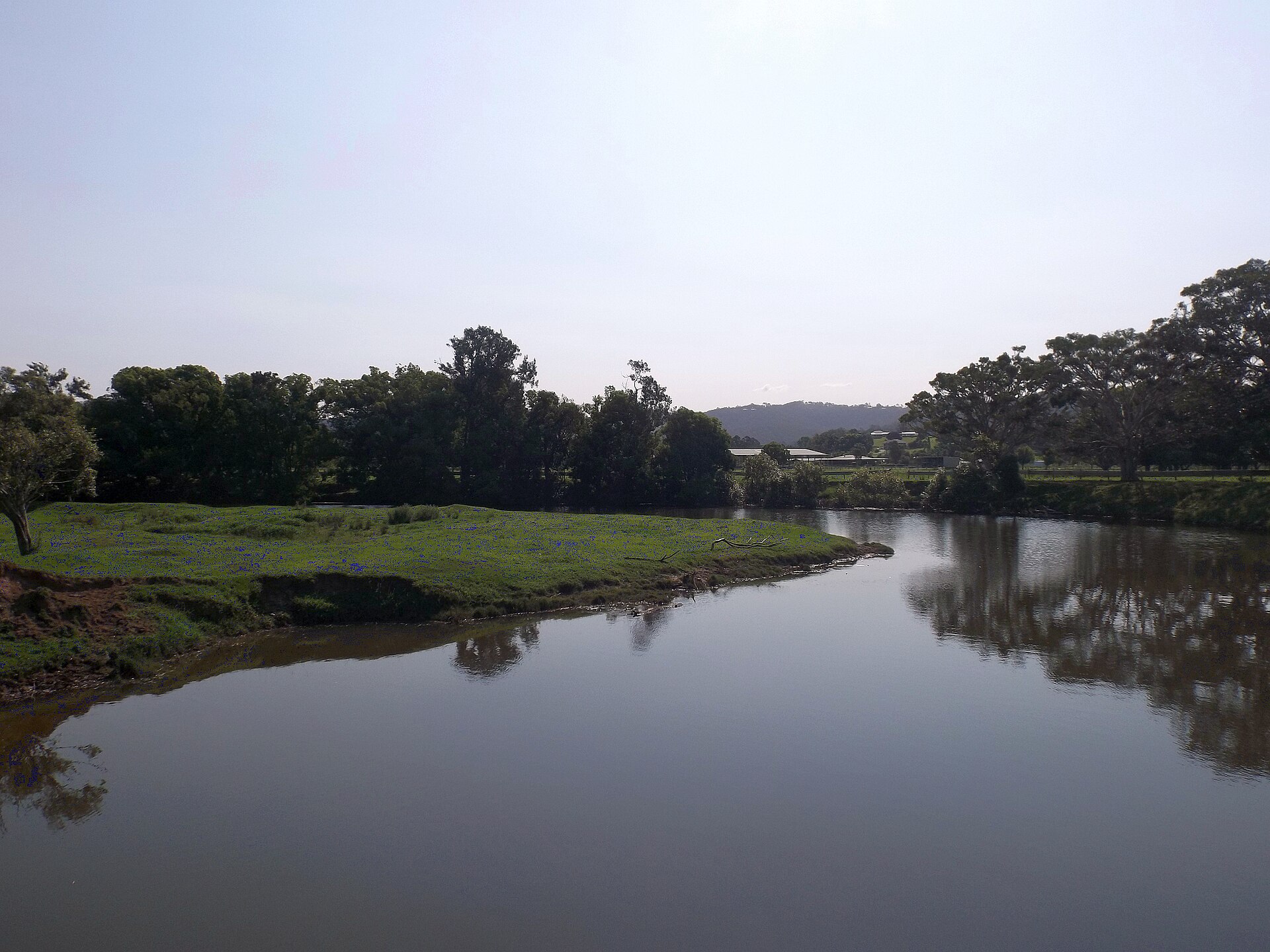 Tallebudgera Creek at Coplicks Lane, a second view upstream (not at the car park)