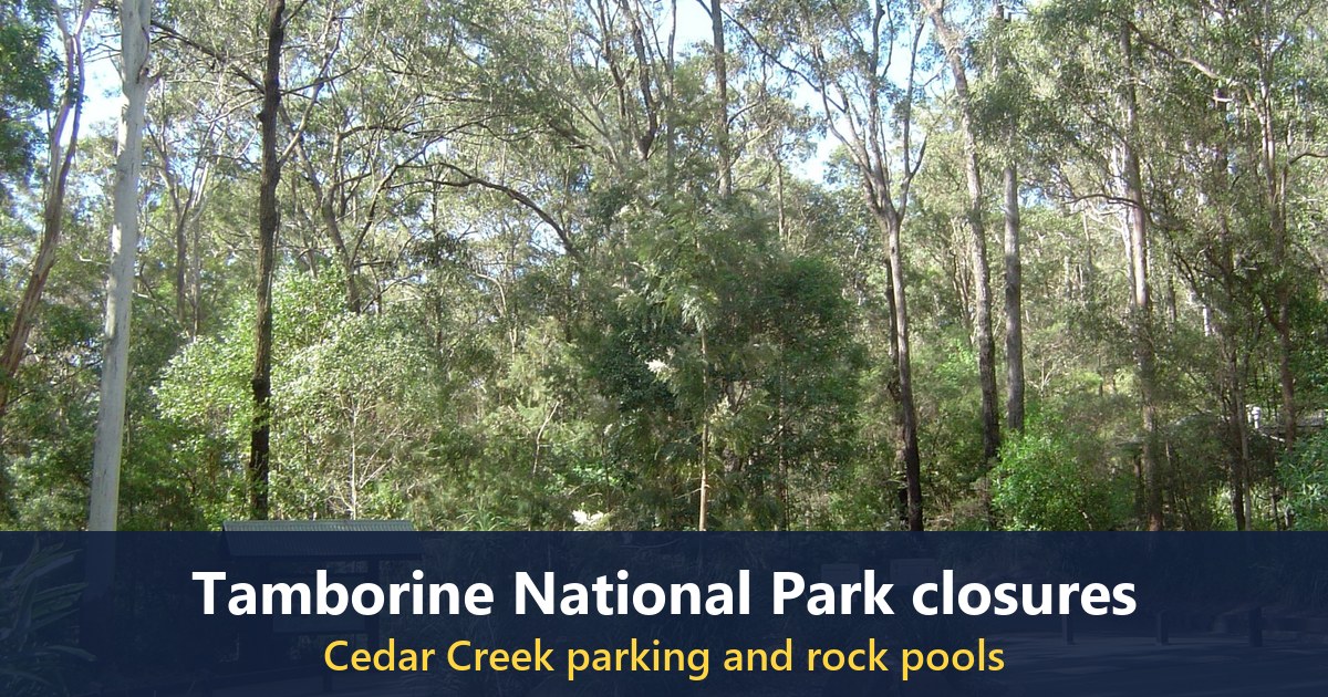 Cedar Creek Falls car park and information hut, Tamborine National Park (taken in 2011)