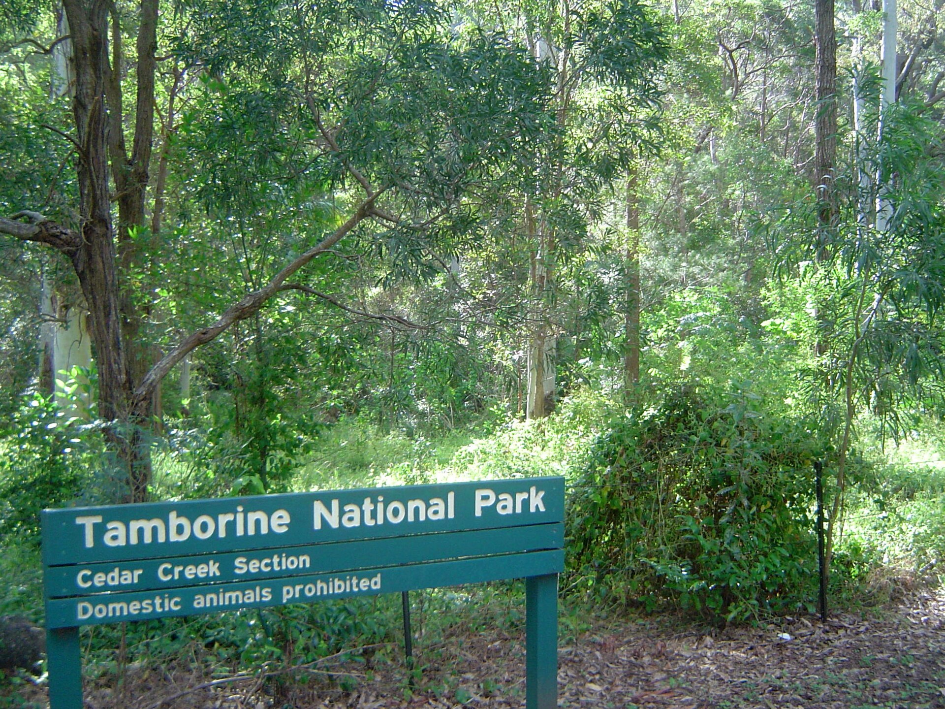 Signage at Cedar Creek Falls in Tamborine National Park, photographed in 2011