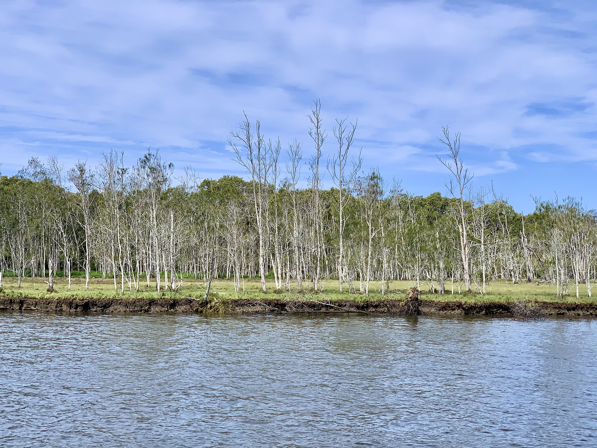 Bank of the Coomera Island and Coomera River, Queensland
